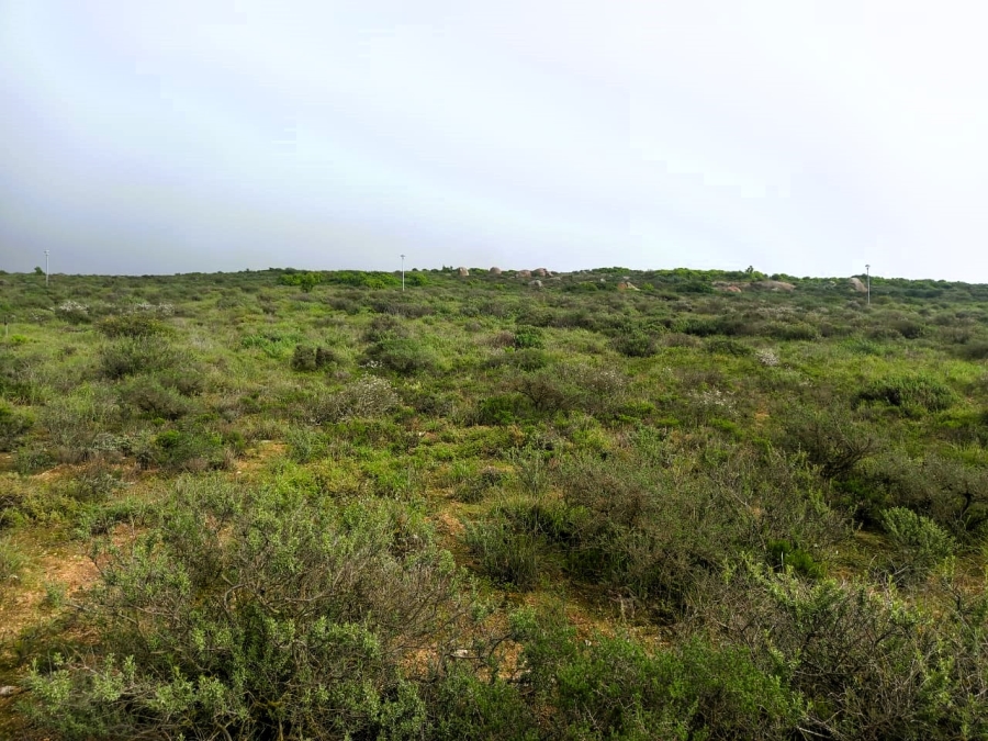 0 Bedroom Property for Sale in Britannica Heights Western Cape